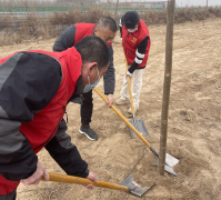 又是一年春光好，又到一年植樹時。3月15日上午，聊城市水利工程總公司到楷模大道廉堤開展義務(wù)植樹活動，以實際行動積極履行植樹造林義務(wù)，優(yōu)化生態(tài)環(huán)境，打造綠色家園。 植樹現(xiàn)